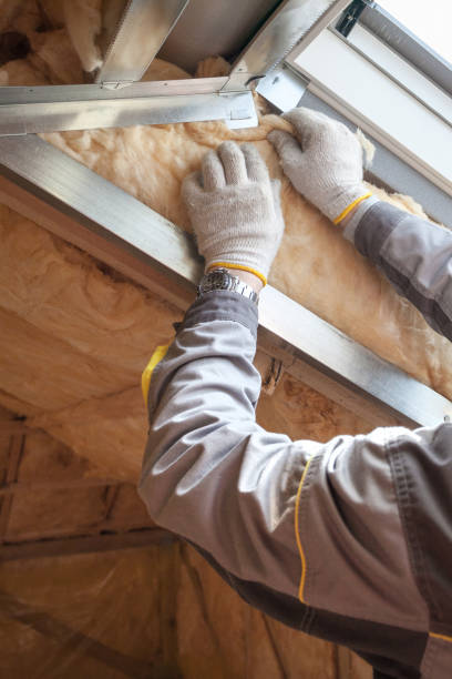 Best Insulation Replacement Services  in Orting, WA