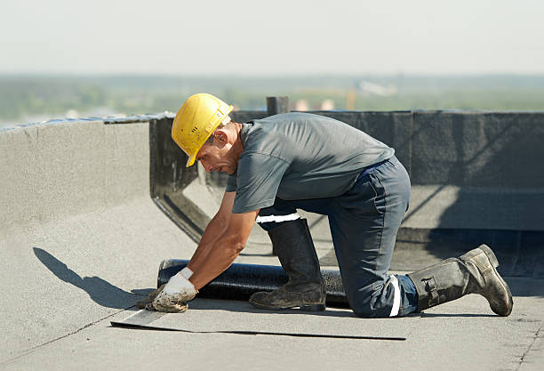 Best Local Insulation Services  in Orting, WA