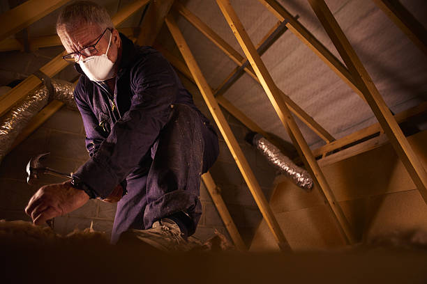 Best Insulation Removal Services  in Orting, WA